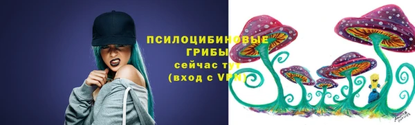 СК Кулебаки