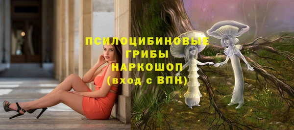 СК Кулебаки