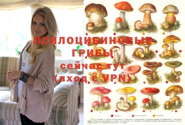 гидропоника Лабытнанги